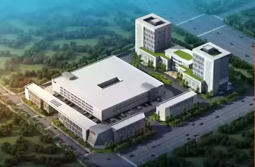 中小徑竹廂板生產(chǎn)線可行性研究報(bào)告通過